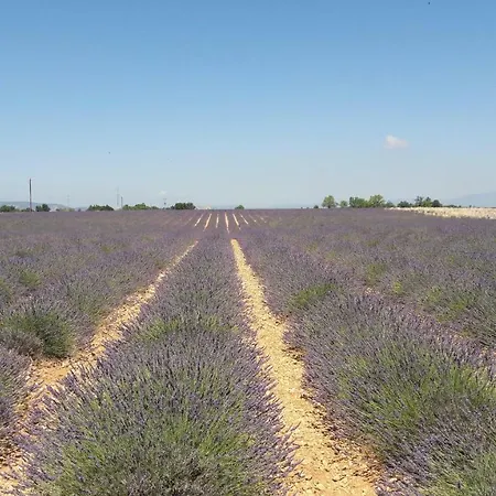 Séjour à la campagne Villabellevie Bras-d'Asse