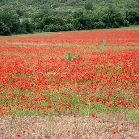 Villabellevie Venkovský dům